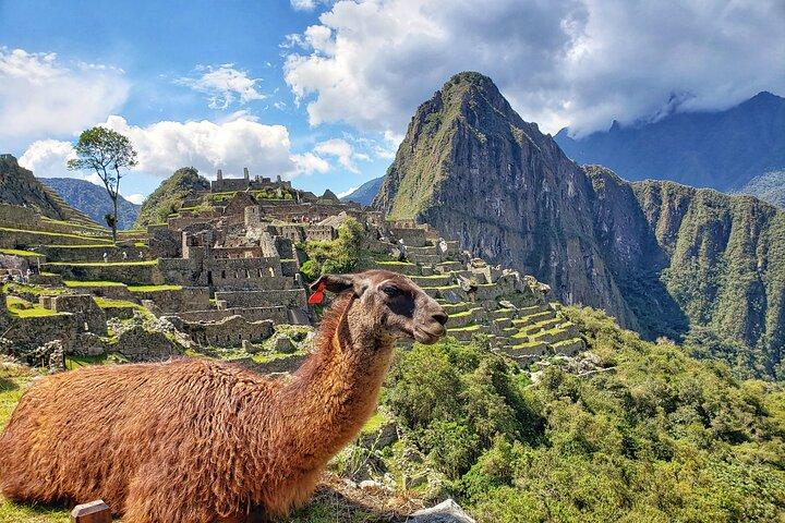Machu Picchu Full Day Tour with a Private Guide
