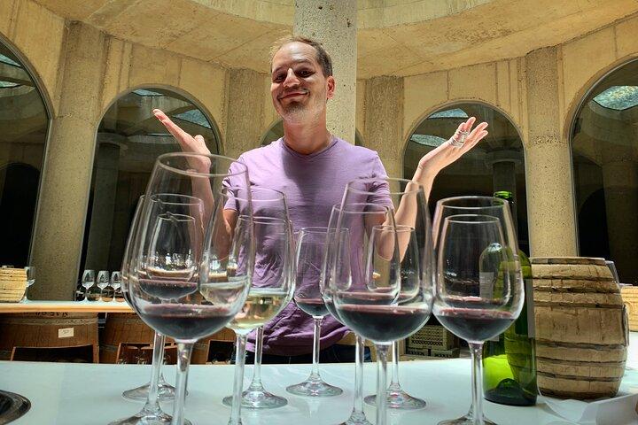 Maipo Valley : Cantine storiche e tour classico dei rossi