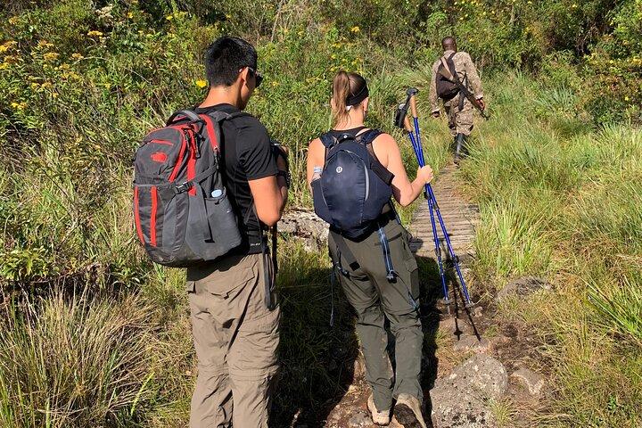 6-daagse Mgahinga-wandelsafari in Oeganda