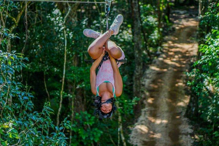 Zipline Dschungel Abenteuer