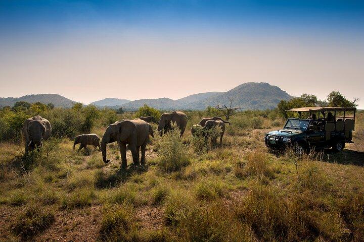 2 Day Pilanesberg Camping Safari