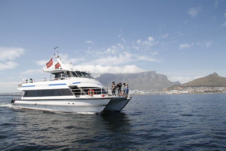 1 Hour Coastal Catamaran Cruise from Cape Town