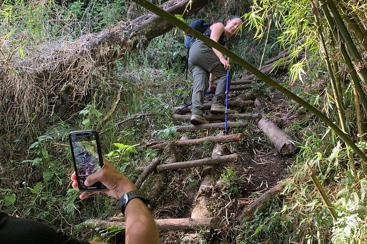 7 Days Explore Mgahinga Gorilla National Park Safari