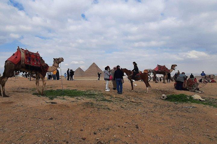private day tour giza pyramids & Gem