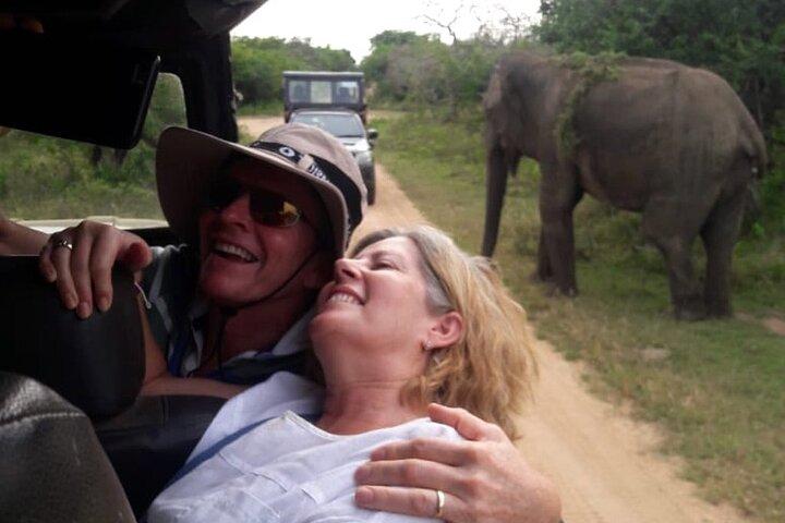 Erkunden Sie die Schönheit des Udawalawe-Nationalparks von der Südküste aus am 01. Tag
