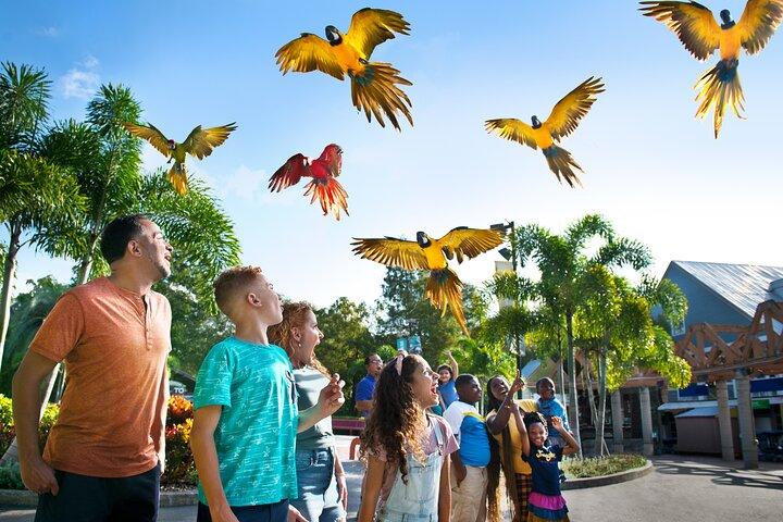 Entrada para ZooTampa en Lowry Park