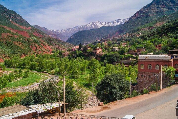 Private Day Trip To Ourika Valley And Anima Garden(André Heller)