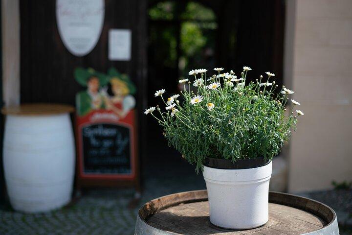 Rustic Austria: Wine & Countryside Private Day Tour