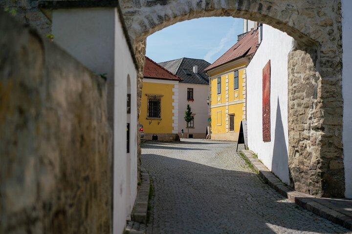 Austria rústica : Tour privado de un día por el vino y el campo