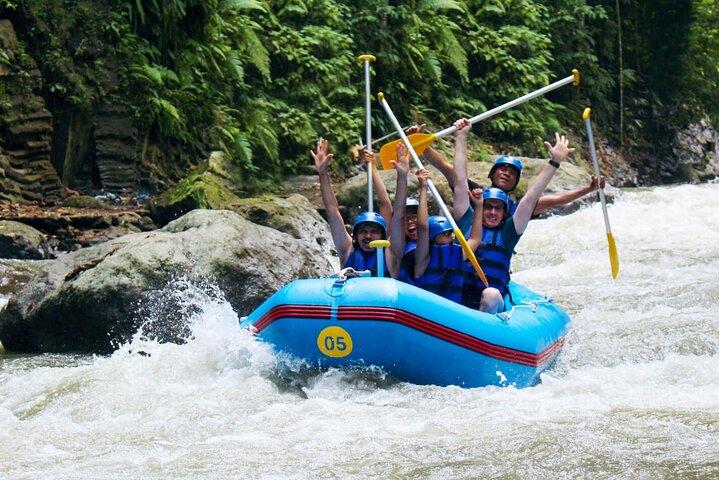 Bali Rafting en el río Ayung Ubud - (Privado y todo incluido)