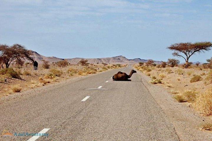 4 - Tour privato di giorni da Marrakech al deserto del Sahara e Fez