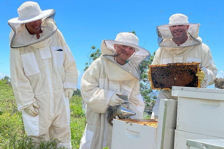 Honey Bee Adventure no Maui Honey Bee Sanctuary