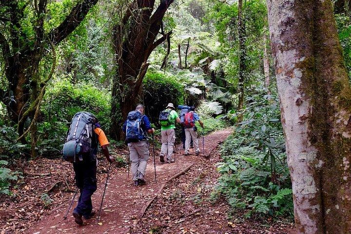Kilimanjaro Day Hike Experience from Arusha – Marangu Route