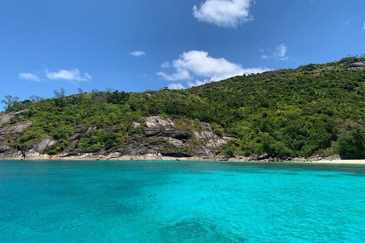 Snorkeling, natação e churrasco