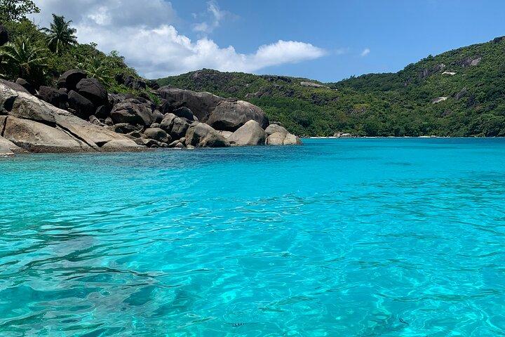 Snorkeling, natação e churrasco