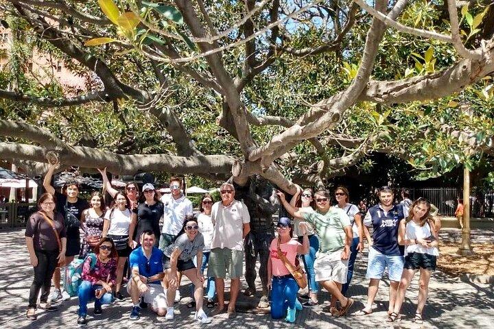 City Tour 12 Pontos com Degustação de Doce de Leite