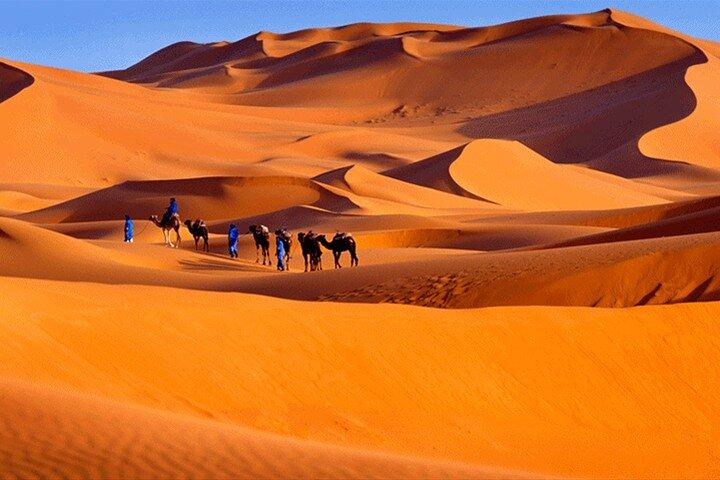 4-Day Private Sahara Desert Tour: 3 to 5 star accommodations
