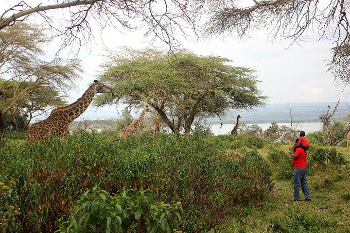 1-Day Lake Naivasha & Hell's Gate Safari