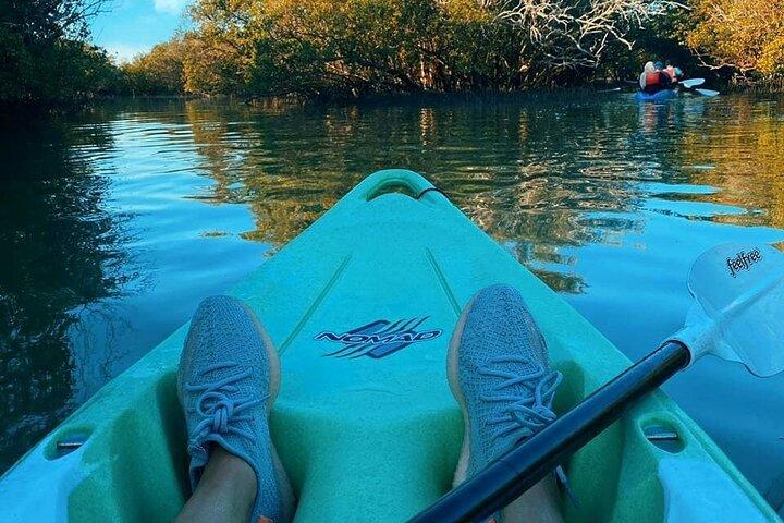 Kayak dans la mangrove Abu Dhabi