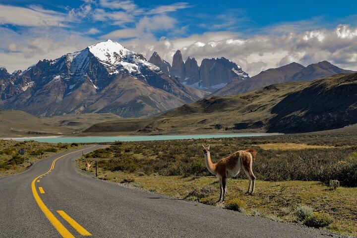 Giornata intera privata a Torres del Paine