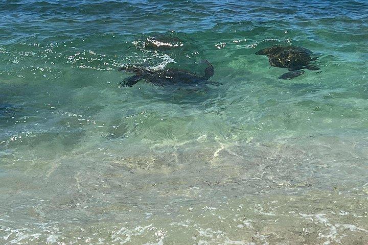Luksus Private Circle Island Charter Tour