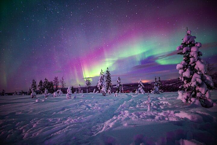 Avventura notturna con le ciaspole sotto l'aurora boreale