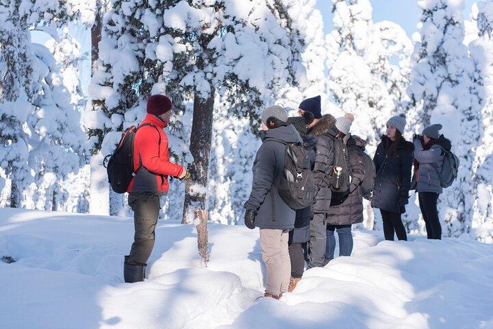 Wilderness Survival Tour - Hiver