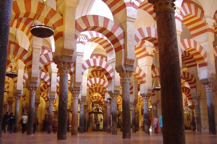 Cordoba e la sua Moschea da Málaga con trasferimento privato