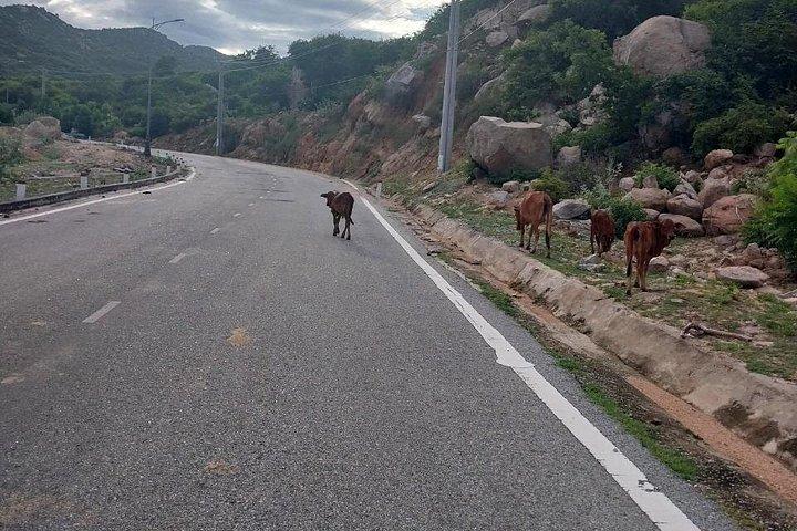 ベトナムサイクリングツアー：ホーチミン市からホイアンへ