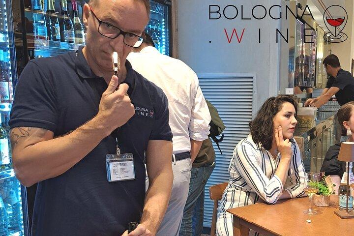 Tour e degustação de vinhos das colinas bolonhesas