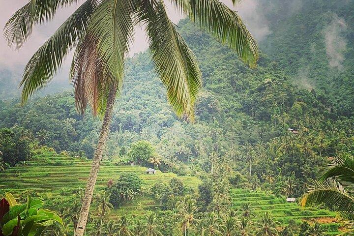 Bali : カスタマイズされた往復2日間ノースミドルバリ