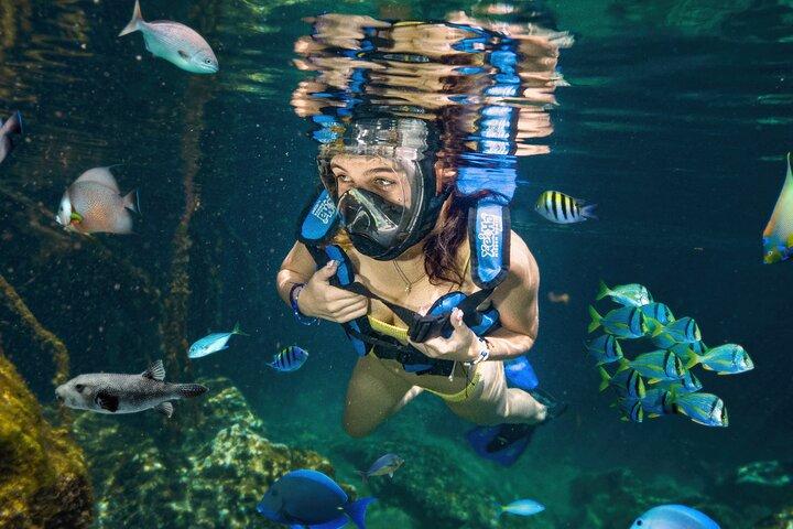Xel-Ha Tickets mit Transport inklusive