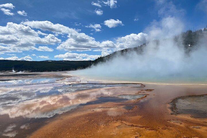 Yellowstone Lower Loop Tour | Wilde dieren en warmwaterbronnen | Privé