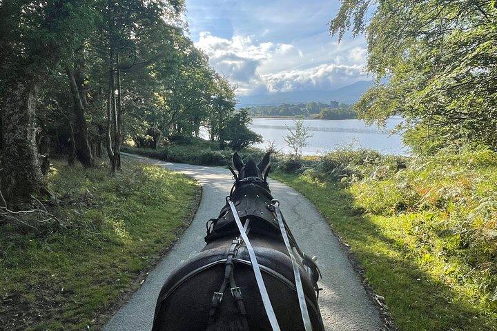 Visites en carrioles tirées par des chevaux à Killarney