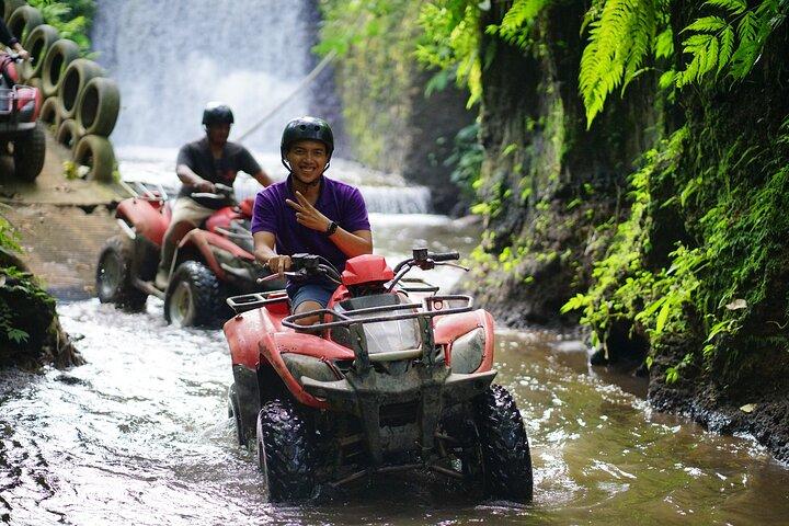 Quad en Bali a través de la cueva del gorila: bosque de monos y cascada