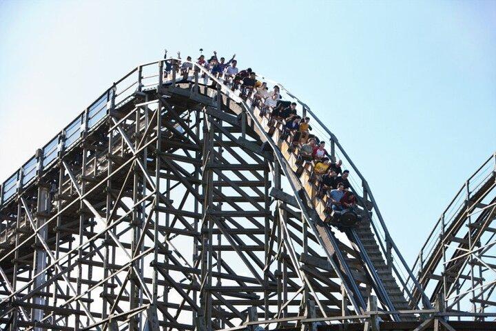Tour privato del parco a tema Everland