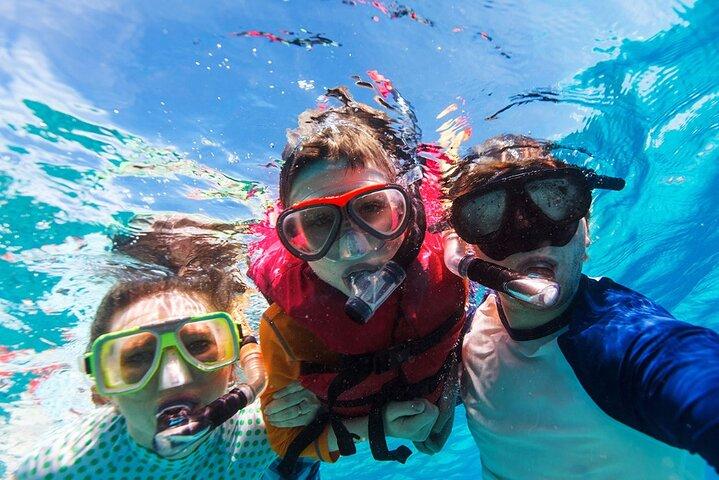 Snorkelture til Daymaniat Islands Sharing Trip