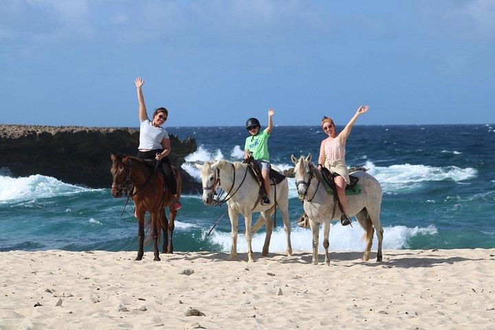 Authentic Aruba Morning Horseback Riding Tour