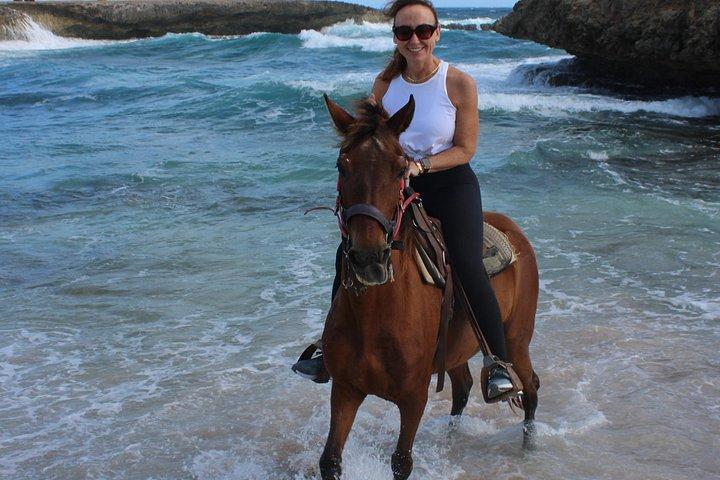 Authentic Aruba Morning Horseback Riding Tour