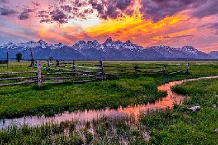 Grand Teton Wildlife Safari i et lukket eller udendørs køretøj (afhængig af sæsonen)