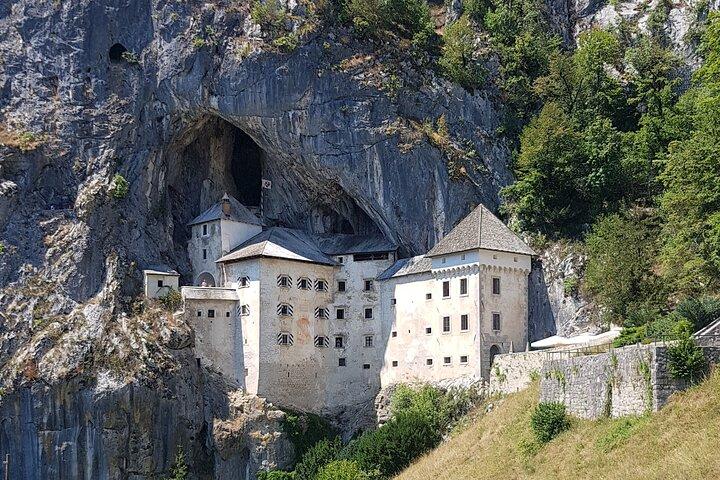 Visite d'une demi-journée à la grotte de Postojna - Visite privée de Koper