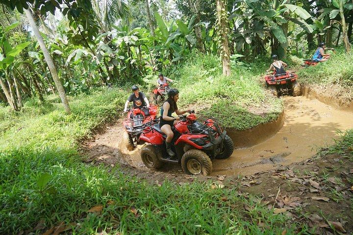 Bali Quad Bike durch Gorilla Cave – Affenwald und Wasserfall