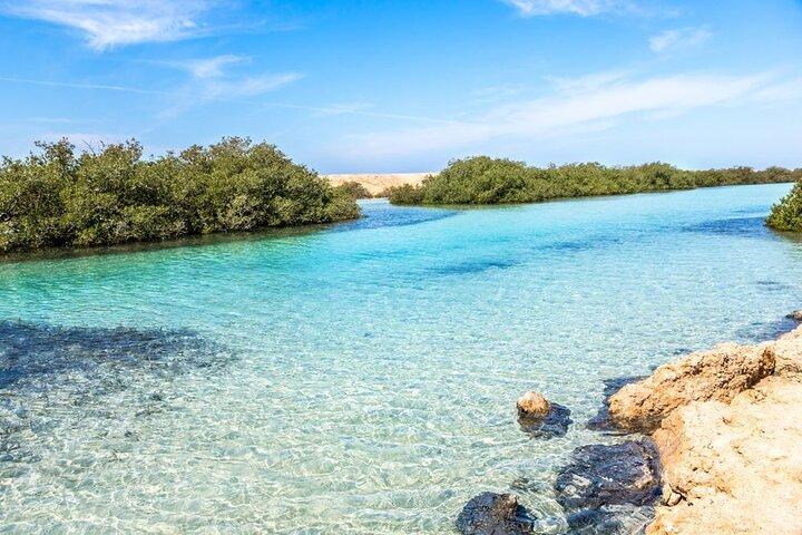 Excursão de meio dia ao Parque Nacional Ras Mohammed de ônibus saindo de Sharm