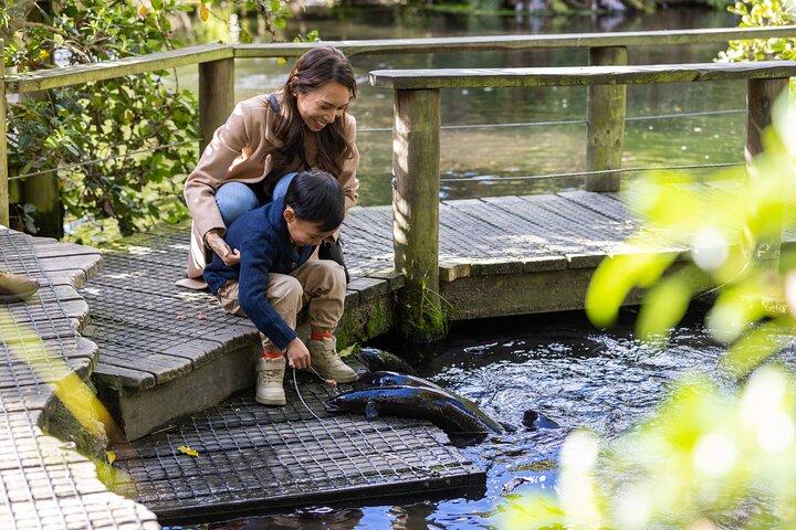 Willowbank Wildlife Reserve Day Entry