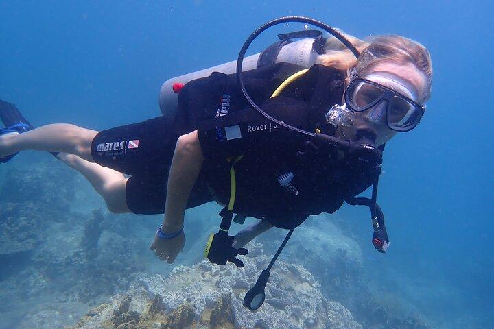 PADI Open Water Diver Course | For beginners