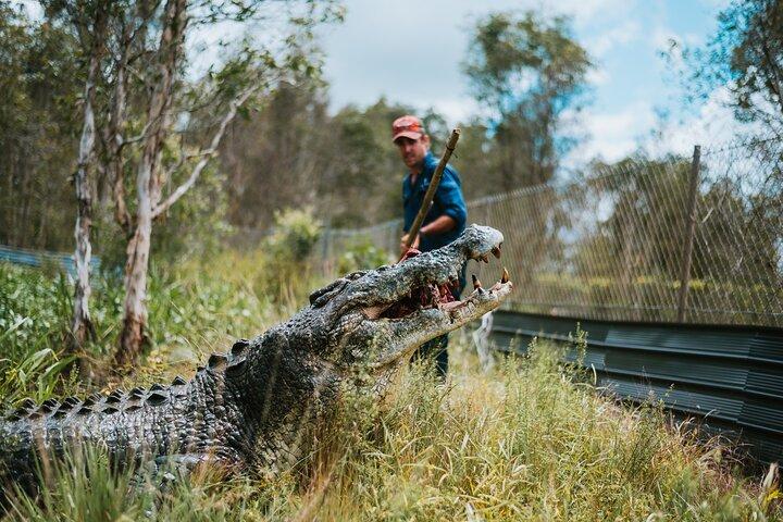 Top End Safari Camp Tagestour