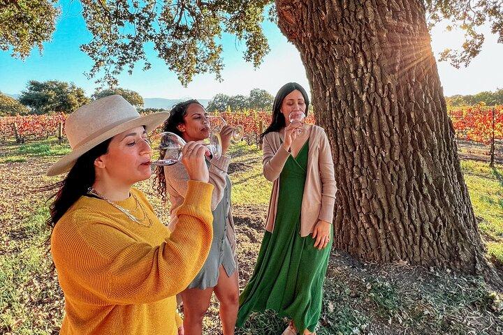 Visite des vins de Santa Ynez (tout compris)