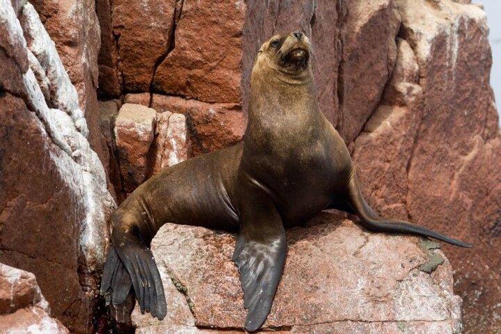 10 Days Peru Cusco Tour from Lima