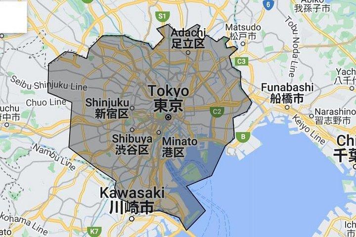 Tokyo og Kanto privat tilpasset dagstur