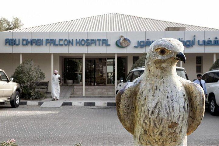 Viaggio privato alla Moschea di Abu Dhabi e al Falcon Hospital